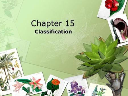 Chapter 15 Classification.