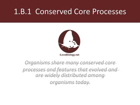 1.B.1 Conserved Core Processes