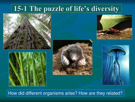 15-1 The puzzle of life’s diversity