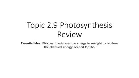Topic 2.9 Photosynthesis Review