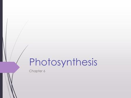 Photosynthesis Chapter 6.