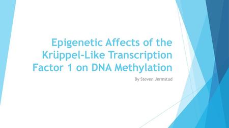 Epigenetic Affects of the Krüppel-Like Transcription Factor 1 on DNA Methylation By Steven Jermstad.