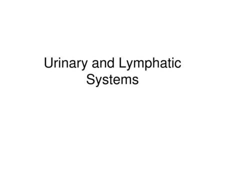 Urinary and Lymphatic Systems