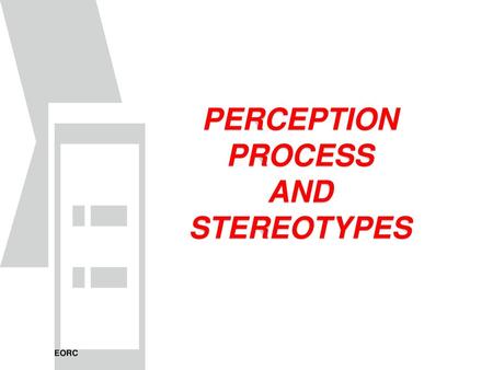 PERCEPTION PROCESS AND STEREOTYPES