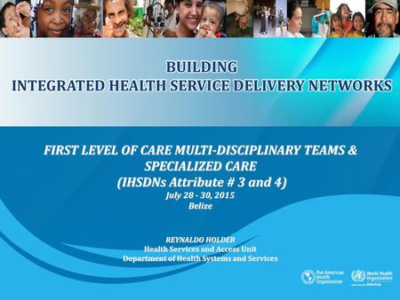 BUILDING INTEGRATED HEALTH SERVICE DELIVERY NETWORKS