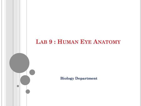 Lab 9 : Human Eye Anatomy Biology Department.