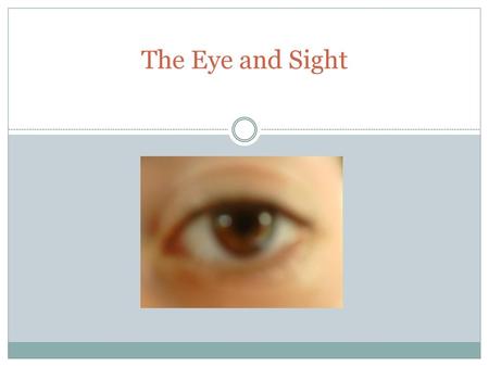 The Eye and Sight.