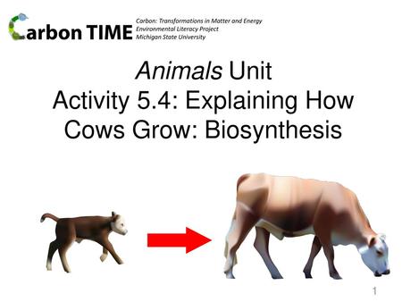 Animals Unit Activity 5.4: Explaining How Cows Grow: Biosynthesis