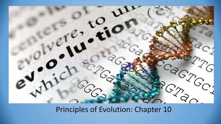 Principles of Evolution: Chapter 10