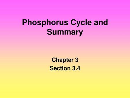 Phosphorus Cycle and Summary