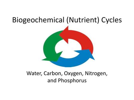 Biogeochemical (Nutrient) Cycles