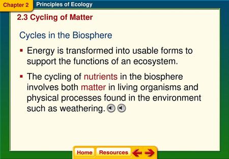 Cycles in the Biosphere