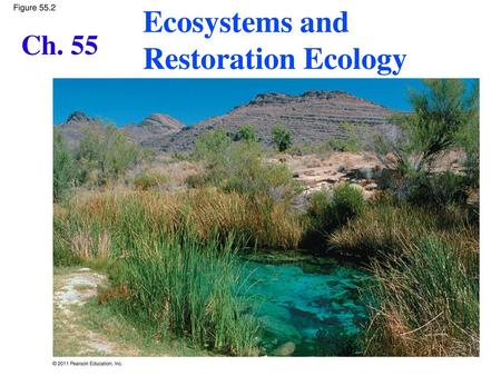 Ecosystems and Restoration Ecology Ch. 55 Figure 55.2