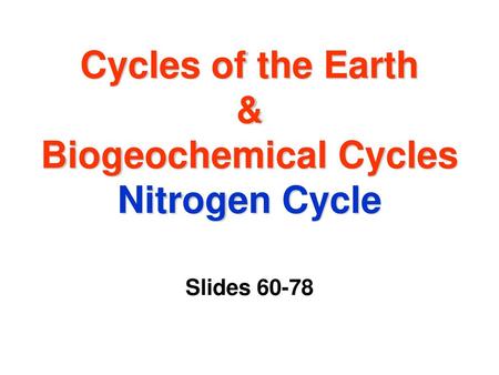 Cycles of the Earth & Biogeochemical Cycles Nitrogen Cycle