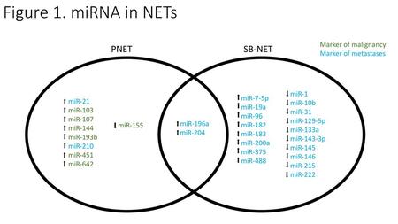 Figure 1. miRNA in NETs PNET SB-NET miR-7-5p miR-19a miR-96 miR-182