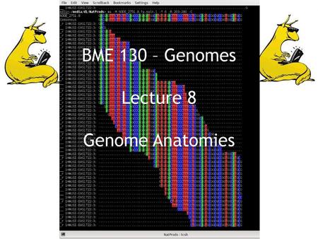 BME 130 – Genomes Lecture 8 Genome Anatomies.