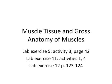 Muscle Tissue and Gross Anatomy of Muscles