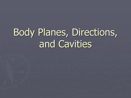 Intro To The Human Body Directional Terms Planes Quadrants And Regions Hst I Ppt Video Online Download