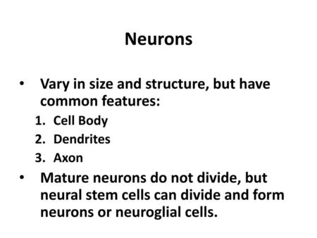 Neurons Vary in size and structure, but have common features: