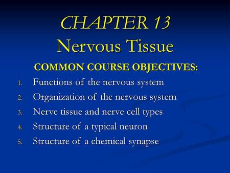 CHAPTER 13 Nervous Tissue