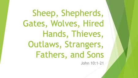 Sheep, Shepherds, Gates, Wolves, Hired Hands, Thieves, Outlaws, Strangers, Fathers, and Sons John 10:1-21.