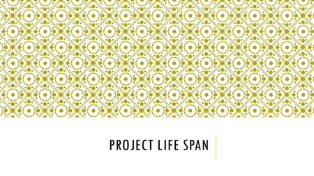 Project life span.
