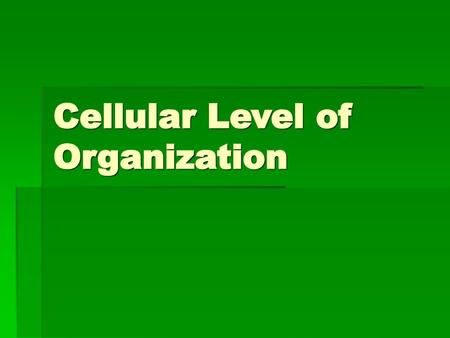 Cellular Level of Organization