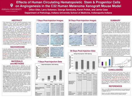 Effects of Human Circulating Hematopoietic Stem & Progenitor Cells on Angiogenesis in the C32 Human Melanoma Xenograft Mouse Model Dillon Etter, Larry.