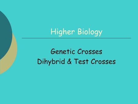 Genetic Crosses Dihybrid & Test Crosses