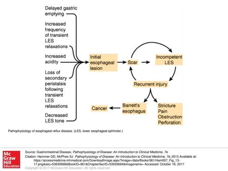 Pathophysiology of esophageal reflux disease