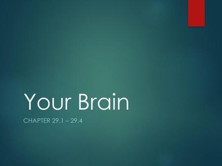 Your Brain Chapter 29.1 – 29.4.