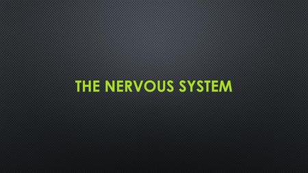 The Nervous system.