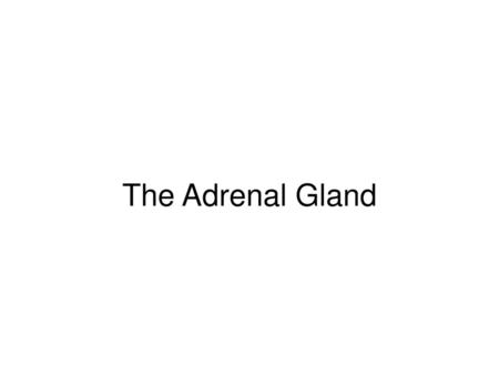 The Adrenal Gland.