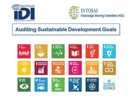 Auditing Sustainable Development Goals