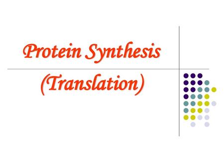 Protein Synthesis (Translation)