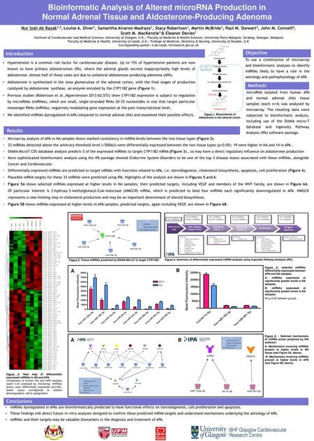 Bioinformatic Analysis of Altered microRNA Production in