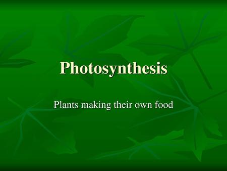 Plants making their own food