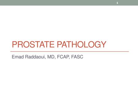 prostate cancer pathology ppt)