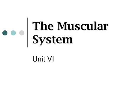 The Muscular System Unit VI.