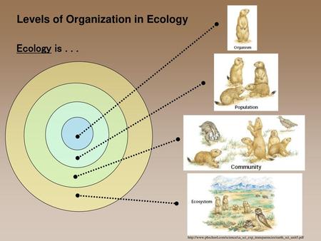 Ecology is . . . http://www.phschool.com/science/ca_sci_exp_transparencies/earth_sci_unit5.pdf.