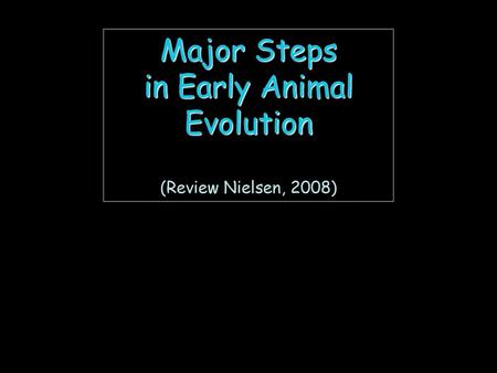 Major Steps in Early Animal Evolution (Review Nielsen, 2008)