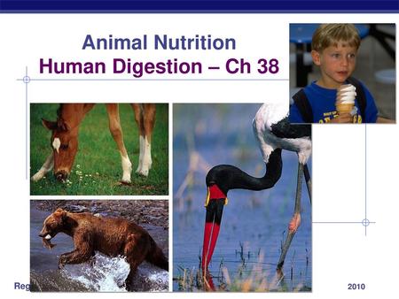 Animal Nutrition Human Digestion – Ch 38