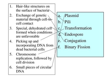 Plasmid Pili Transformation Endospore Conjugation Binary Fission