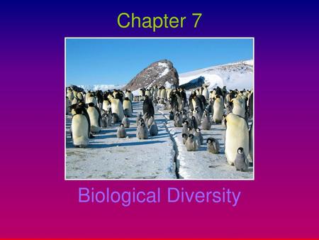 Chapter 7 Biological Diversity.