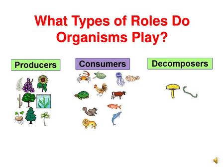 What Types of Roles Do Organisms Play?