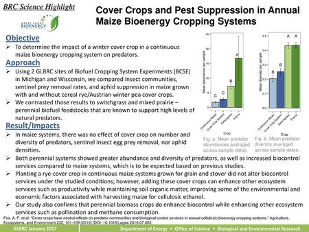 BRC Science Highlight Cover Crops and Pest Suppression in Annual Maize Bioenergy Cropping Systems Objective To determine the impact of a winter cover crop.