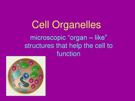microscopic “organ – like” structures that help the cell to function
