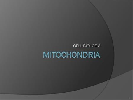 WINDSOR SOM CELL BIOLOGY