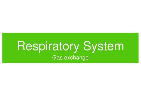 Respiratory System Gas exchange.