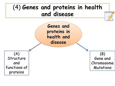 (4) Genes and proteins in health and disease
